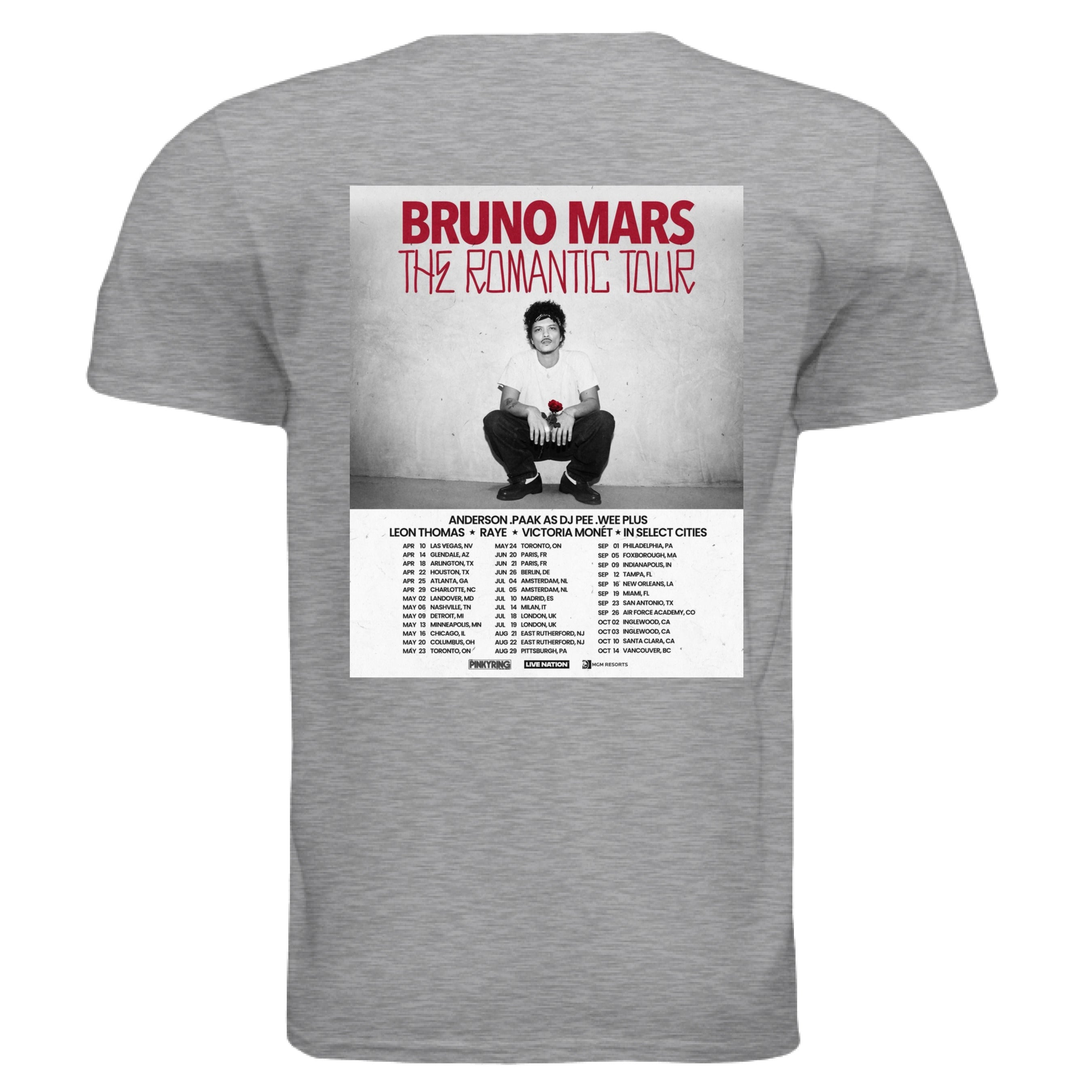 SPORT GREY - BACK