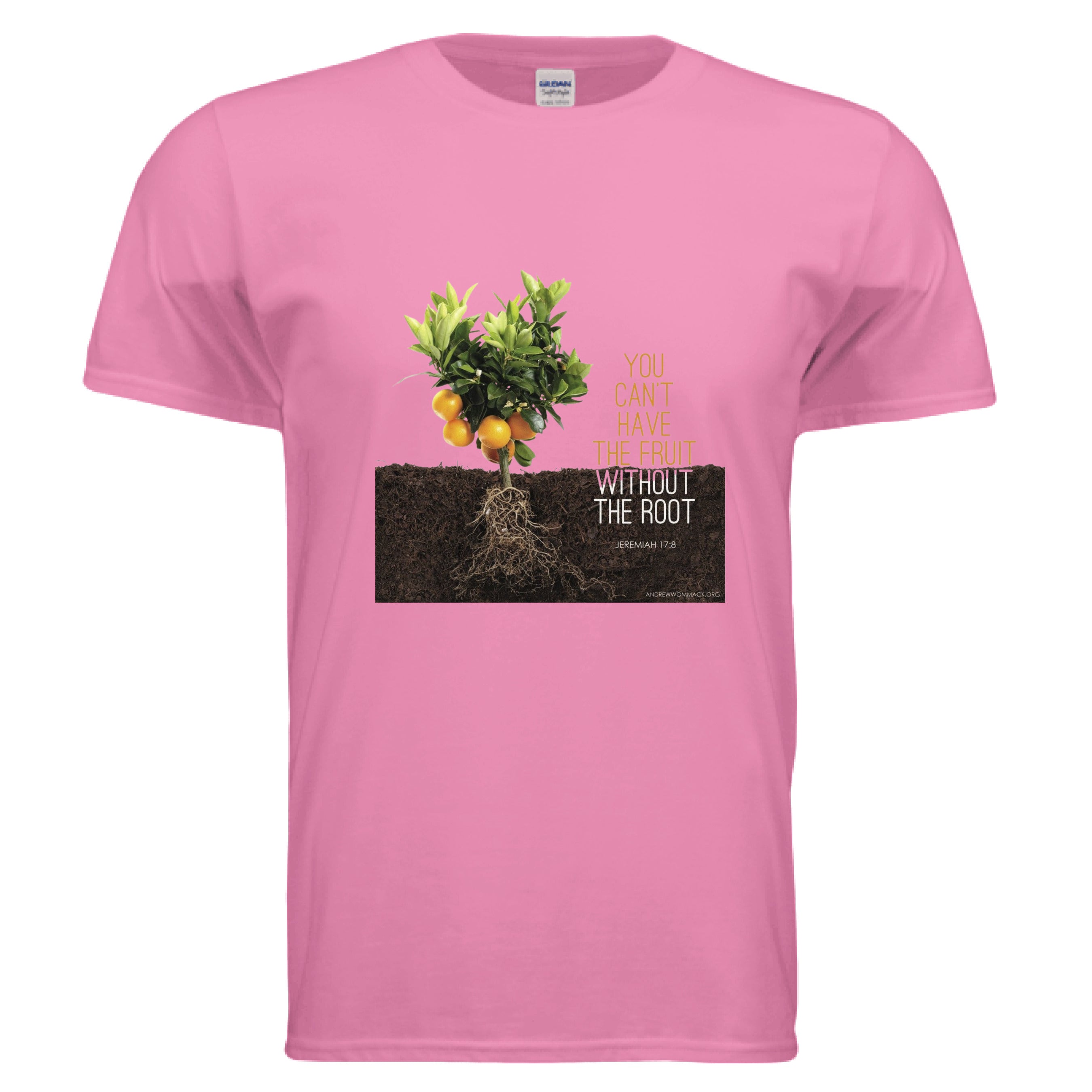AZALEA - FRONT