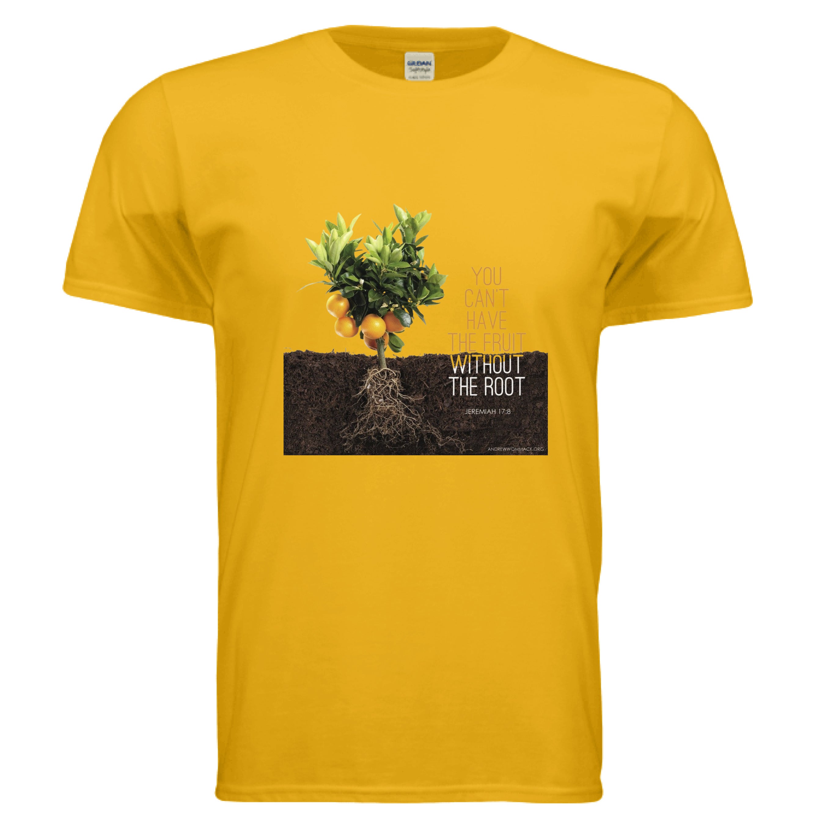 Gold - FRONT